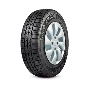195/70 R14 91T  AR-300
